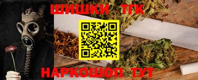 индика Заводоуковск