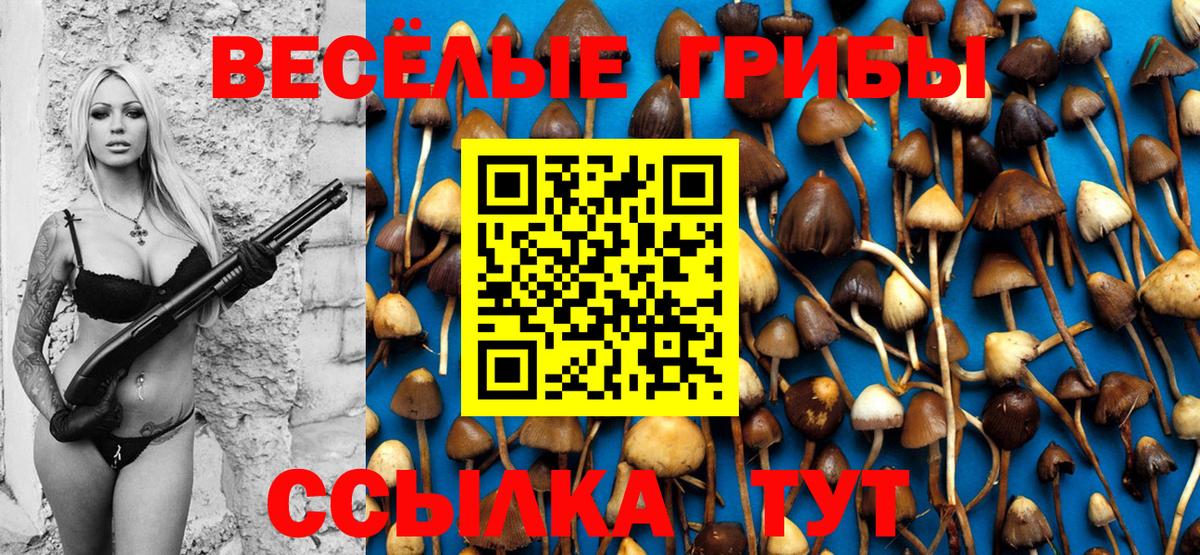Галлюциногенные грибы Cubensis Ликино-Дулёво